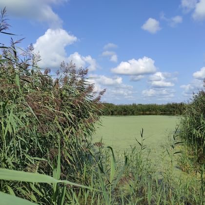 Riesenfelder Münsterland