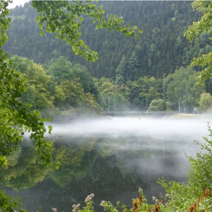 Rurstausee reservoir with morning mist floating above calm water, surrounded by lush green forest and hills in the background.