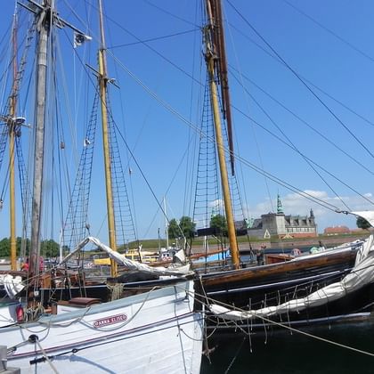 Traditionelle hölzerne Segelschiffe mit hohen Masten im Hafen von Helsingør. Schloss Kronborg mit grünem Kupferdach im Hintergrund unter blauem Himmel.