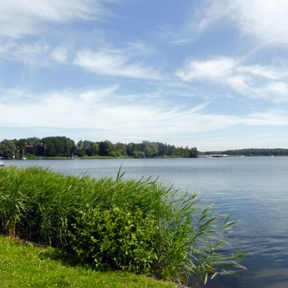 Peaceful lake view near Malchow with green reeds in foreground, calm water, wooded shoreline with buildings, and cloudy blue sky.