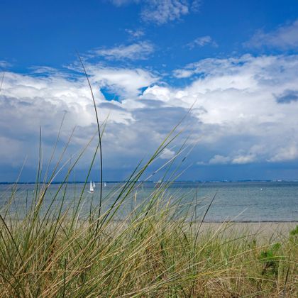 baltic-sea-duenen-on-beach
