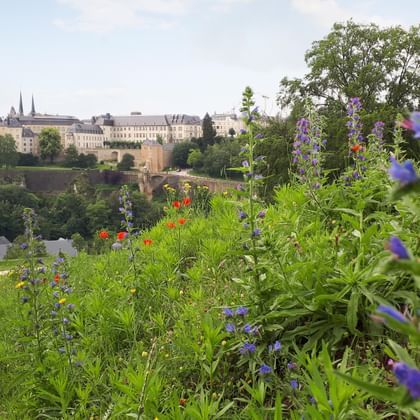 Kirchberg Plateau Luxembourg City