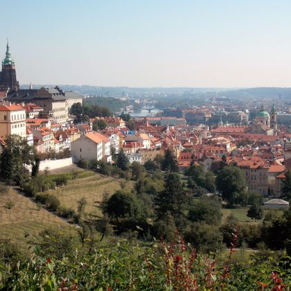 View of Prague Castle