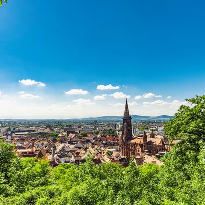 Panoramic view of Freiburg with the Gothic Freiburg Cathedral's tall spire dominating the historic city center, framed by green trees.
