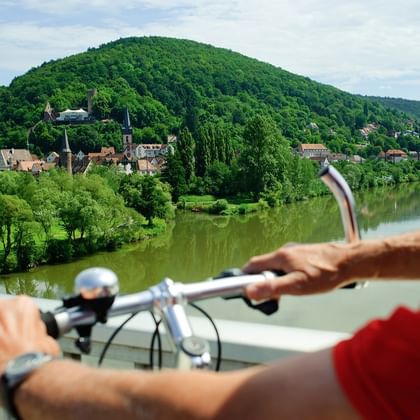 Gemünden Blick auf Gemünden am Main Spessart Mainland