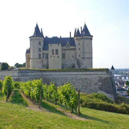 loire-cycle-path-castle-saumur