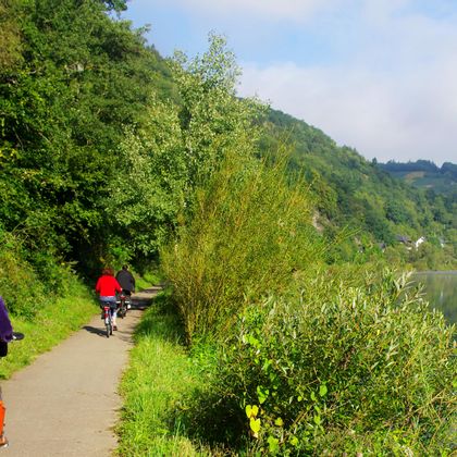 Cycle path along the Moselle