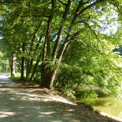Idylle am Main Radweg