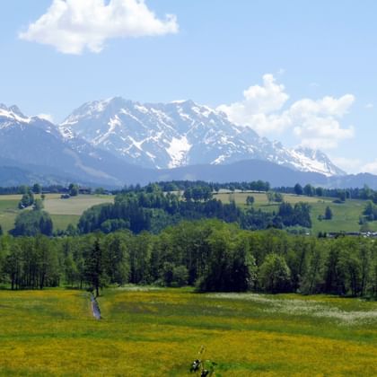 Panoramic view of snow-capped Alpine mountains behind green meadows and forests in the Salzkammergut region of Austria under blue sky.