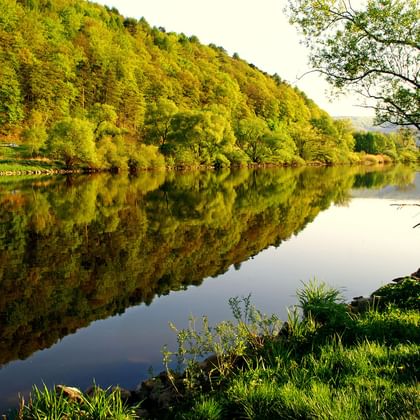 Spring on the Main