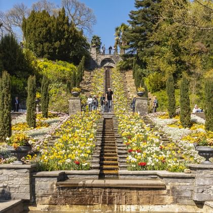 Terrassierte Wassertreppe auf der Insel Mainau mit bunten Blumenbeeten, Steinstufen und Zypressen, die zu einer verzierten Brücke führen.