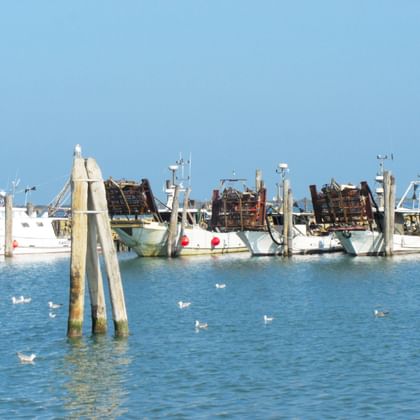 Weiße Fischerboote mit Krebskörben an Holzpfählen im Hafen von Pila vertäut. Möwen schwimmen auf ruhigem blauen Wasser unter klarem Himmel.
