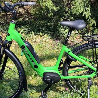 Hellgrünes Velociped E-Bike Velo de Ville mit schwarzen Komponenten, Gepäckträger und Federgabel auf Gras bei Bäumen geparkt.