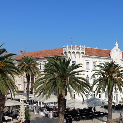 Palm trees in Trogir