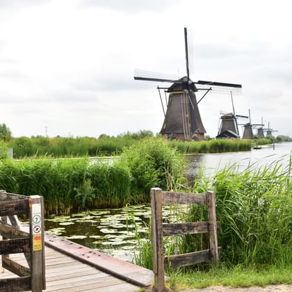 Traditional Dutch windmills at Kinderdijk with wooden walkway and gate in foreground, surrounded by water channels and green vegetation.