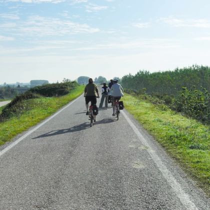 Drei Radfahrer auf einem asphaltierten Radweg zwischen grünen Feldern und Hecken in Norditalien, mit flacher Landschaft in der Ferne.