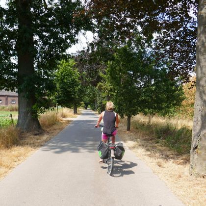 Cycle path near Roermond