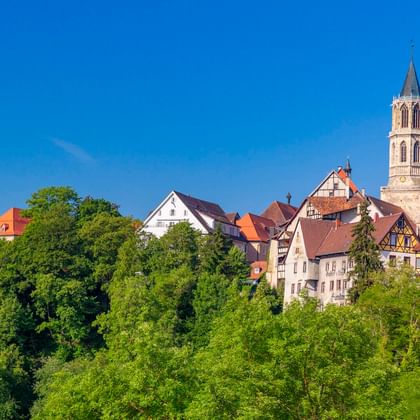 Blick auf Rottweils Altstadt mit traditionellen Häusern, roten Ziegeldächern und einem hohen Kirchturm. Grüne Bäume säumen den Hang unter blauem Himmel.