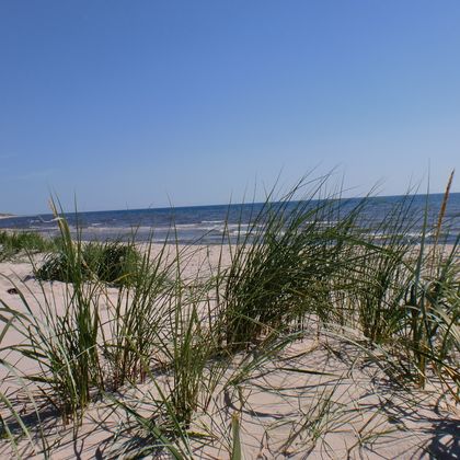 Beach near Boderne