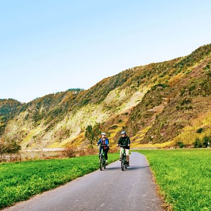 Two cyclists riding on paved path through green valley in Germany, surrounded by steep hillsides with vineyards under clear blue sky.