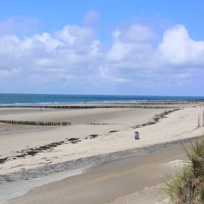 Wide sandy beach in Zeeland with grass-covered dunes on the right, wooden breakwaters, and calm sea under a partly cloudy sky.