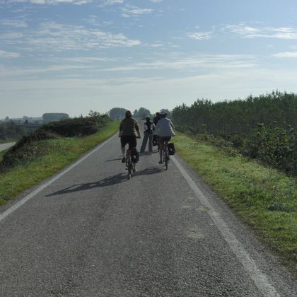 Cycle path through the idyll between Mantua and Venice