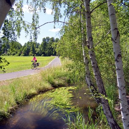 Cyclist on path through Spree Forest Cyclist on paved path through idyllic Spree Forest with birch trees, small stream, and green meadows under sunny sky.