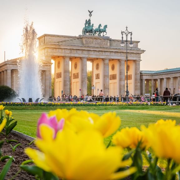 Brandenburger Tor bei Sonnenuntergang beleuchtet mit gelben Tulpen im Vordergrund, Springbrunnen und Besuchern am Pariser Platz.