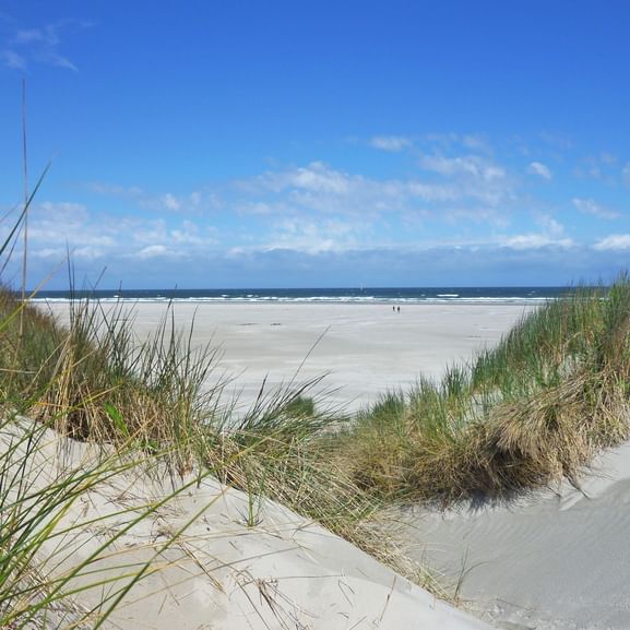 Strand an der niederländischen Insel-Küste