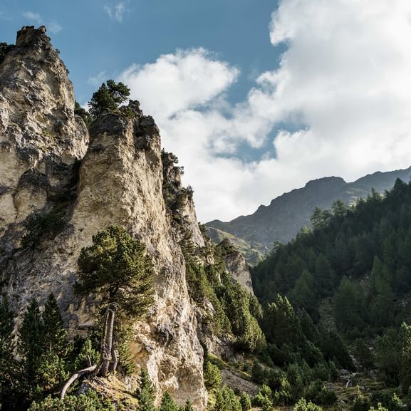Dramatische Kalksteinklippen mit Vegetation im Bleniotal, Schweiz. Bewaldete Berge und bewölkter Himmel im Hintergrund.