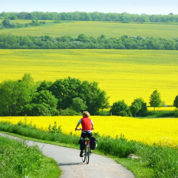 Radwegkarten Deutschland